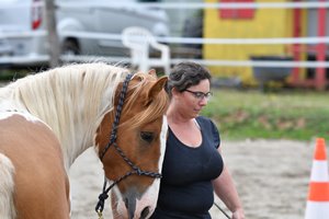 DSC_0335