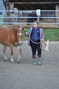 DSC_3720