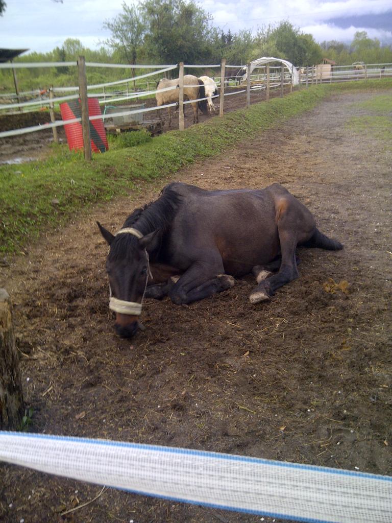 Une petite sieste pour Dérugin